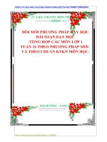 ĐỔI MỚI PHƯƠNG PHÁP DẠY HỌC  BÀI SOẠN DẠY HỌC    TỔNG HỢP CÁC MÔN LỚP 1  TUẦN 16 THEO PHƯƠNG PHÁP MỚI   VÀ THEO CHUẨN KTKN MÔN HỌC.