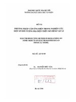Phương pháp cảm ứng điện trong nghiên cứu một số đối tượng địa điện trên mô hình vật lý