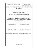 Nghiên cứu tình trạng tắc lại, tái hẹp động mạch vành sau can thiệp và các biện pháp để hạn chế - Viện Tim mạch