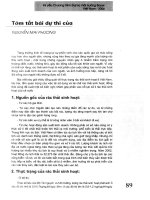 Tóm tắt bài dự thi của Nguyễn Mai Hương