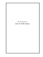 ĐỀ CƯƠNG BÀI GIẢNG ĐẦU TƯ NƯỚC NGOÀI
