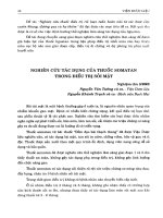 Nghiên cứu tác dụng của thuốc somatan trong điều trị sỏi thận