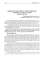 Nghiên cứu nhân trồng và phát triển Sìto (Valeriana Jatamansi Jones) ở Sapa, Lào Cai