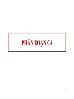 giáo trình bài giảng về phân đoạn c4
