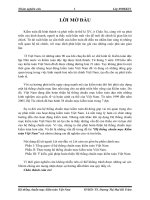 Hệ thống chuẩn mực kiểm toán việt nam