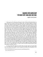 Nghiên cứu ngôn ngữ từ cách tiếp cận khu vực học