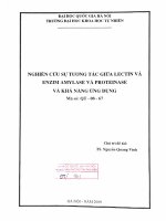 Nghiên cứu sự tương tác giữa Lectin và enzim amylase và proteinase.PDF