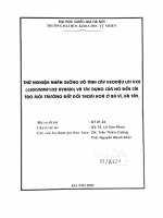 Thử nghiệm nhân giống vô tính cây keo dậu lai KX2(leucaena KX2 Hybrid) và tác dụng của nó đến cải tạo môi trường đất đồi thoái hoá ở Ba Vì, Hà Tây t