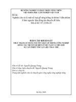 Nghiên cứu xử lý biến tính gỗ rừng trồng từ nhóm 5 đến nhóm 8 làm nguyên liệu đóng tàu thuyền đi biển