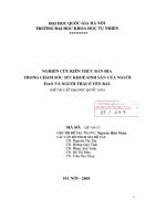 Nghiên cứu kiến thức bản địa trong chăm sóc sức khỏe sinh sản của người Dao và người Thái ở Yên Bái