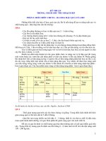 KỸ THUẬT  TRỒNG, CHĂM SÓC THU HOẠCH BƠ