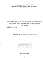 Nghiên cứu mối quan hệ giữa các đặc điểm ngọc học của ruby, saphir và đá chứa mỏ Lục Yên, Trúc Lâu tỉnh Yên Bái t