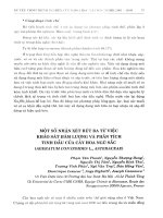 ột số nhận xét rút ra từ việc khảo sát hàm lượng và phân tích tinh dầu của cây hoa Ngũ sắc (Ageratum Conyzoides L., Asteraceae