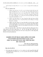 Nghiên cứu kỹ thuật nhân giống Cát cánh (Platycodon Grandiflorum (JacQ.) A.D.C) phục vụ sản xuất dược liệu trên địa bàn Bắc Trung Bộ