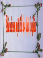 Ngoại khóa phòng chống tội phạm xã hội ma túy học đường