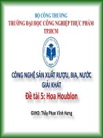 CÔNG NGHỆ SẢN XUẤT RƯỢU, BIA, NƯỚC GIẢI KHÁT Đề tài  Hoa Houblon