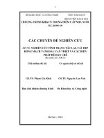 Nghiên cứu tình trạng tắc lại, tái hẹp động mạch vành sau can thiệp và các biện pháp để hạn chế - Chuyên đề