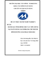 Cho vay tiêu dùng tại ngân hàng Sacombank chi nhánh Bình Dương giai đoạn 2011 - 2012