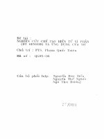 Nghiên cứu chế tạo biến tử vi phân ( DT sensor) và ứng dụng của nó