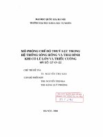 Mô phỏng chế độ thuỷ lực trong hệ thống sông Hồng và Thái Bình khi có lũ lớn và triều cường