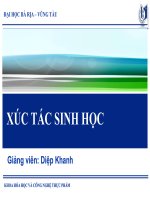 giáo trình bài giảng về xúc tác sinh học