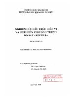 Nghiên cứu cấu trúc hiển vi và siêu hiển vi buồng trứng bò sát - Reptilia