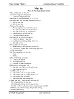 THIẾT KẾ  MÔ HÌNH CẦU BÊ TÔNG CỐT THÉP DƯL, dầm chữ I, chiều dài toàn dầm 31m, khế cấu kéo trước