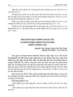 Sản xuất hạt giống Ngưu tất (Achyranthes Bidentata Blume) chất lượng cao