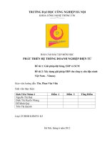 Xây dựng giải pháp ERP cho công ty sữa đậu nành Việt Nam – Vinasoy