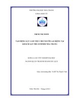 Tạo động lực làm việc cho người lao động tại khách sạn Summer Nha Trang