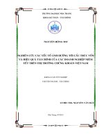 Nghiên cứu các yếu tố ảnh hưởng tới cấu trúc vốn và hiệu quả tài chính của các doanh nghiệp niêm yết trên thị trường chứng khoán Việt Nam
