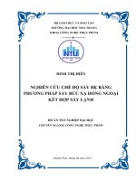 Nghiên cứu chế độ sấy hẹ bằng phương pháp sấy bức xạ hồng ngoại kết hợp sấy lạnh