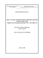 Tiểu văn hóa ngõ phố trong đời sống đô thị tỉnh lị Việt Nam ( Nghiên cứu trường hợp thành phố Vinh - tỉnh Nghệ An