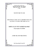Phân tích cấu trúc vốn và chi phí sử dụng vốn tại Công ty cổ phần Thủy điện Gia Lai
