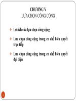 Slide môn kinh tế công cộng: Chương 5: Lựa chọn công cộng
