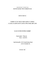 Nghiên cứu kỹ thuật nhân giống và trồng cà chua F1 giống Estyva bằng công nghệ khí canh
