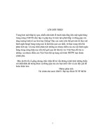 Đề tài Mô hình ngân hàng trung ương Liên hệ với Việt Nam-ưu nhược điểm của mô hình ngân hàng trung ương Việt