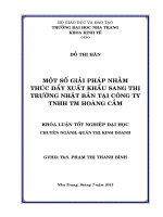 Một số giải pháp nhằm thúc đẩy xuất khẩu sang thị trường Nhật Bản tại Công ty TNHH TM Hoàng Cầm