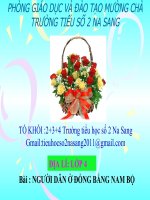 slide thuyết trình  Địa lí 4 Người dân ở đồng bằng Nam Bộ