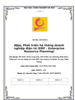 Mô hình chuỗi cung ứng, Giới thiệu các phương pháp khác. Phân tích và xây dựng mô hình ERP vào công ty Cổ phần Tin học Minh Thông