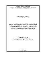Phát triển đội ngũ công nhân tỉnh Nam Định trong thời kỳ đẩy mạnh công nghiệp hóa, hiện đại hóa