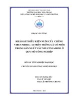 Khảo sát điều kiện nuôi cấy chủng virus NIBRG-14 trên trứng gà có phôi trong sản xuất vắc xin cúm H5N1 ở quy mô công nghiệp