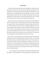 Báo cáo tổng hợp khoa thương mại điện tử công ty trách nhiệm hữu hạn NOLOGY Việt Nam