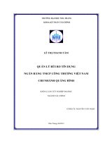 Quản lý rủi ro tín dụng ngân hàng TMCP công thương Việt Nam - Chi nhánh Quảng Bình