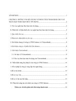 thảo luận QTNH TM thẩm định và đánh giá tính hiệu quả khả thi phương án kinh doanh ngắn hạn của công ty cổ phần sài gòn intimex