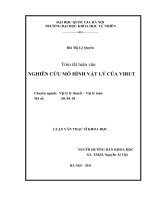 Nghiên cứu mô hình Vật lý của Virut