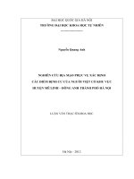 Nghiên cứu địa mạo phục vụ xác định các điểm định cư của người Việt cổ khu vực huyện Mê Linh - Đông Anh thành phố Hà Nội