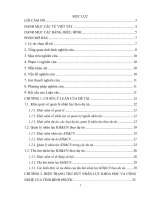 Thực hiện chính sách thu hút nhân lực khoa học và công nghệ theo dự án (nghiên cứu trường hợp tỉnh Bình Phước.PDF