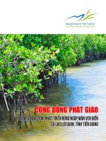 Cộng đồng phật giáo tham gia bảo tồn, phát triển rừng ngập mặn ven biển Cù lao Lợi Quan, tỉnh Tiền Giang