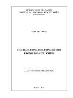 Các đại lượng đo lường rủi ro trong toán tài chính